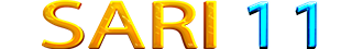 SARI 11